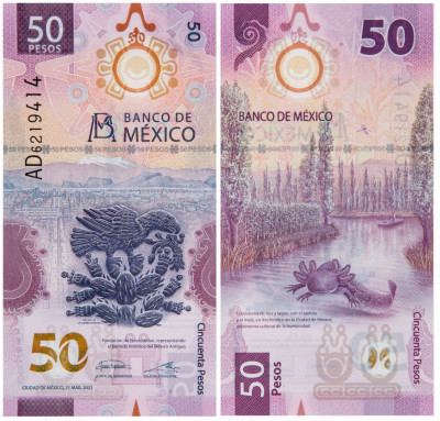 IBNS_2021_50-peso-min.jpg