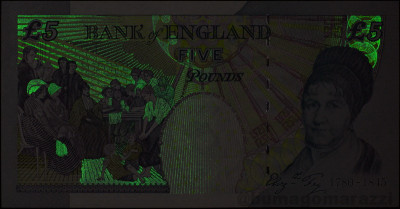 EN0901x_IR980_r_800px_wm.jpg