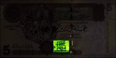 LY1102a_IR980_o_800px_wm.jpg