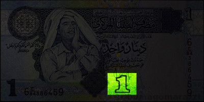 LY1101b_IR980_o_800px_wm.jpg