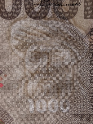 KG0506a_wm_800px.jpg