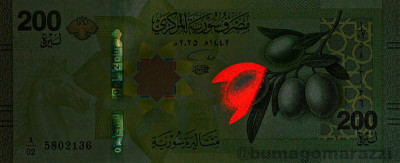 SY1505a_IR980_o_800px_wm.jpg