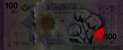 SY1504a_IR980_o_800px_wm.jpg