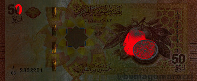 SY1503a_IR980_o_800px_wm.jpg