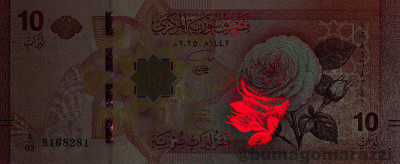 SY1501a_IR980_o_800px_wm.jpg