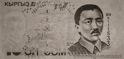 KG0303a_IR940_o_800px_wm.jpg