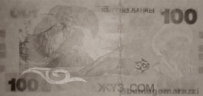 KG0306a_IR940_r_800px_wm.jpg