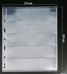 ����� �� 5 ������ ��������